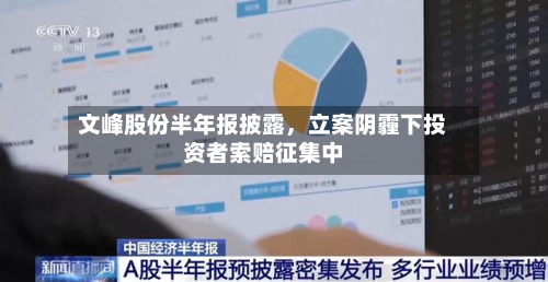文峰股份半年报披露，立案阴霾下投资者索赔征集中-第3张图片