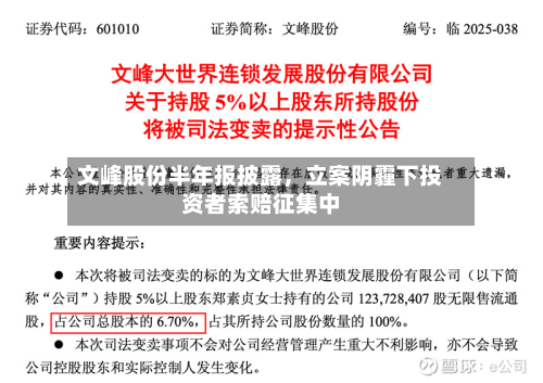 文峰股份半年报披露，立案阴霾下投资者索赔征集中-第2张图片
