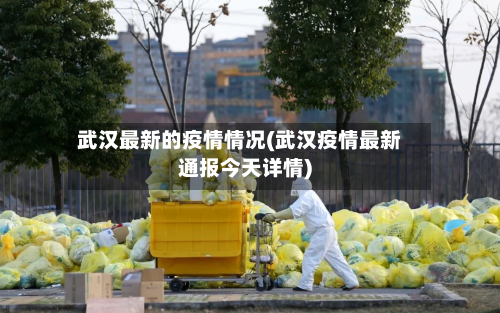 武汉最新的疫情情况(武汉疫情最新通报今天详情)-第2张图片