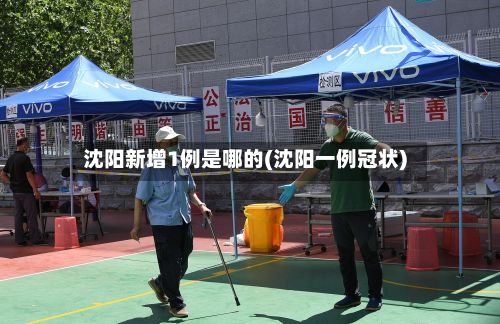 沈阳新增1例是哪的(沈阳一例冠状)