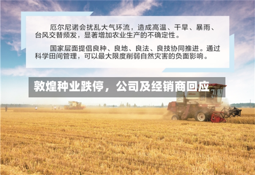 敦煌种业跌停，公司及经销商回应
