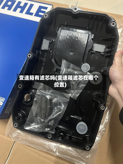 变速箱有滤芯吗(变速箱滤芯在哪个位置)-第2张图片