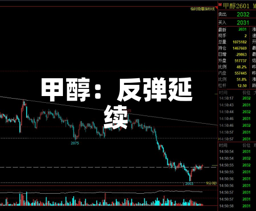 甲醇:反弹延续-第1张图片