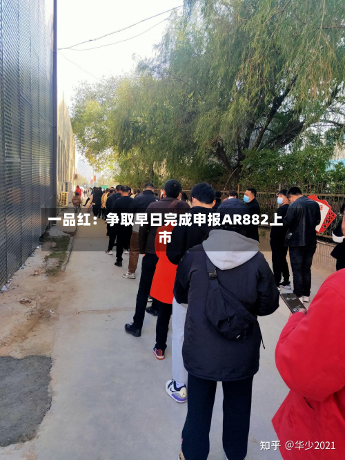 一品红：争取早日完成申报AR882上市-第1张图片