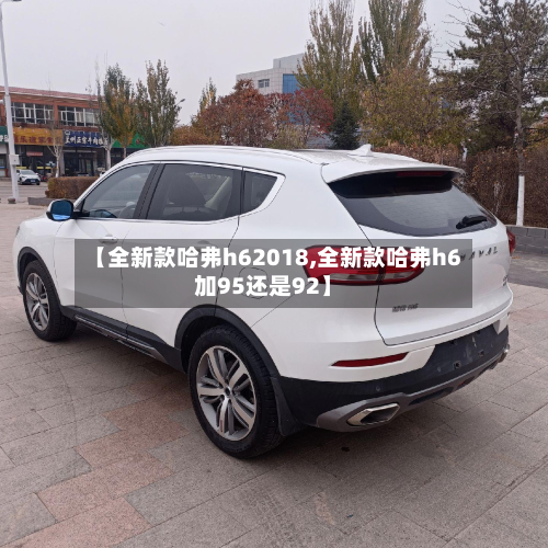 【全新款哈弗h62018,全新款哈弗h6加95还是92】-第3张图片