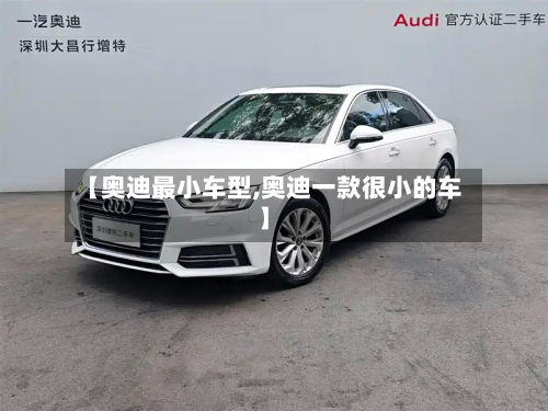 【奥迪最小车型,奥迪一款很小的车】