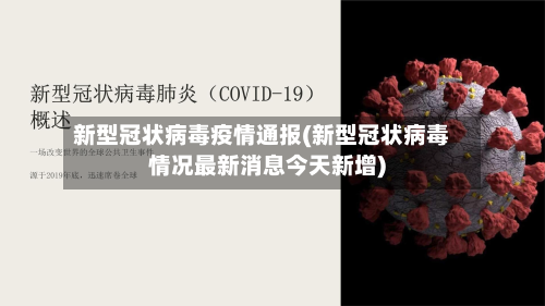 新型冠状病毒疫情通报(新型冠状病毒情况最新消息今天新增)-第3张图片