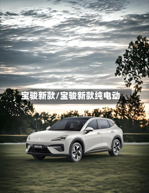 宝骏新款/宝骏新款纯电动-第2张图片