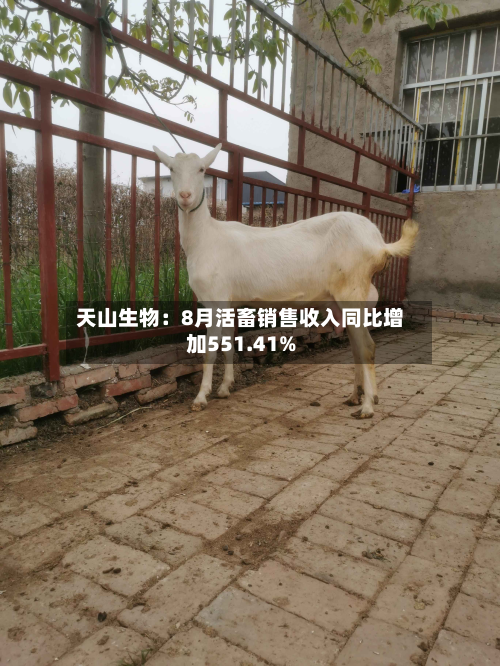天山生物:8月活畜销售收入同比增加551.41%-第3张图片