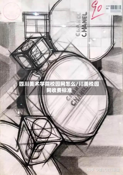 四川美术学院校园网怎么/川美校园网收费标准