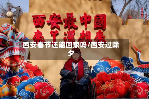 西安春节还能回家吗/西安过除夕-第2张图片