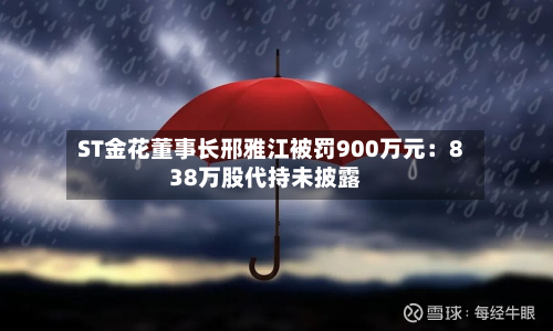 ST金花董事长邢雅江被罚900万元:838万股代持未披露-第2张图片