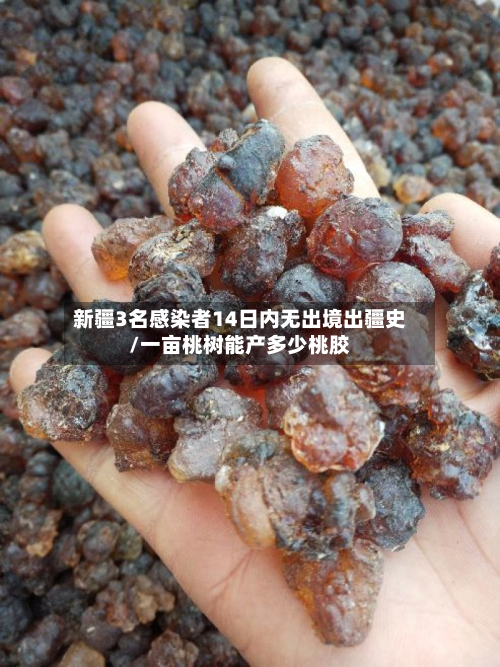 新疆3名感染者14日内无出境出疆史/一亩桃树能产多少桃胶