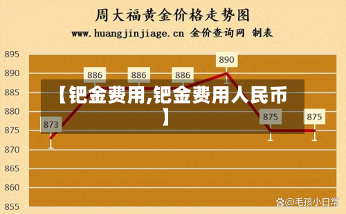 【钯金费用,钯金费用人民币】-第2张图片