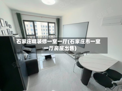 石家庄精装修一室一厅(石家庄市一室一厅房屋出售)-第3张图片