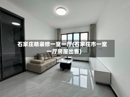 石家庄精装修一室一厅(石家庄市一室一厅房屋出售)