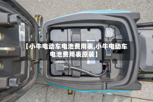 【小牛电动车电池费用表,小牛电动车电池费用表原装】-第2张图片