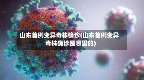 山东首例变异毒株确诊(山东首例变异毒株确诊是哪里的)-第2张图片