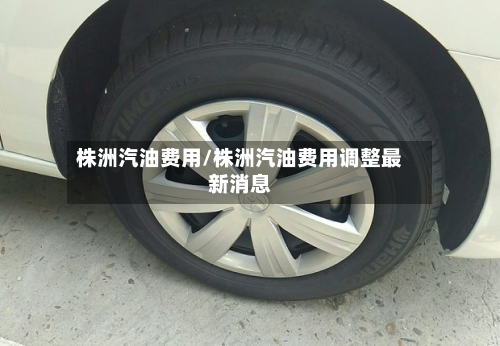 株洲汽油费用/株洲汽油费用调整最新消息-第3张图片