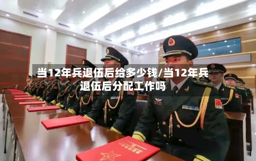 当12年兵退伍后给多少钱/当12年兵退伍后分配工作吗