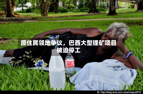 原住民领地争议	，巴西大型锂矿项目被迫停工-第2张图片