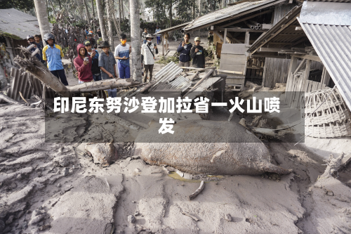 印尼东努沙登加拉省一火山喷发