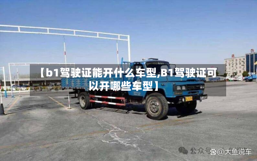 【b1驾驶证能开什么车型,B1驾驶证可以开哪些车型】-第3张图片