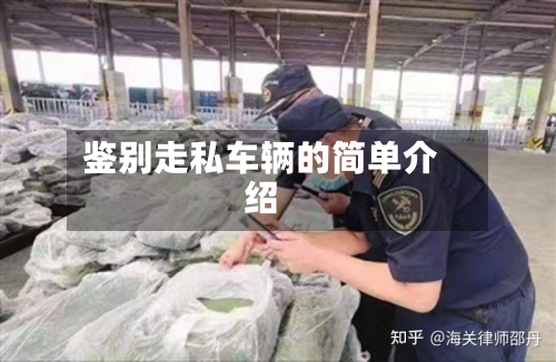 鉴别走私车辆的简单介绍