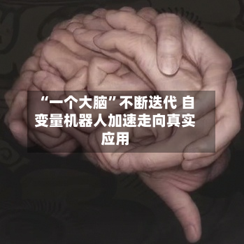 “一个大脑”不断迭代 自变量机器人加速走向真实应用-第2张图片