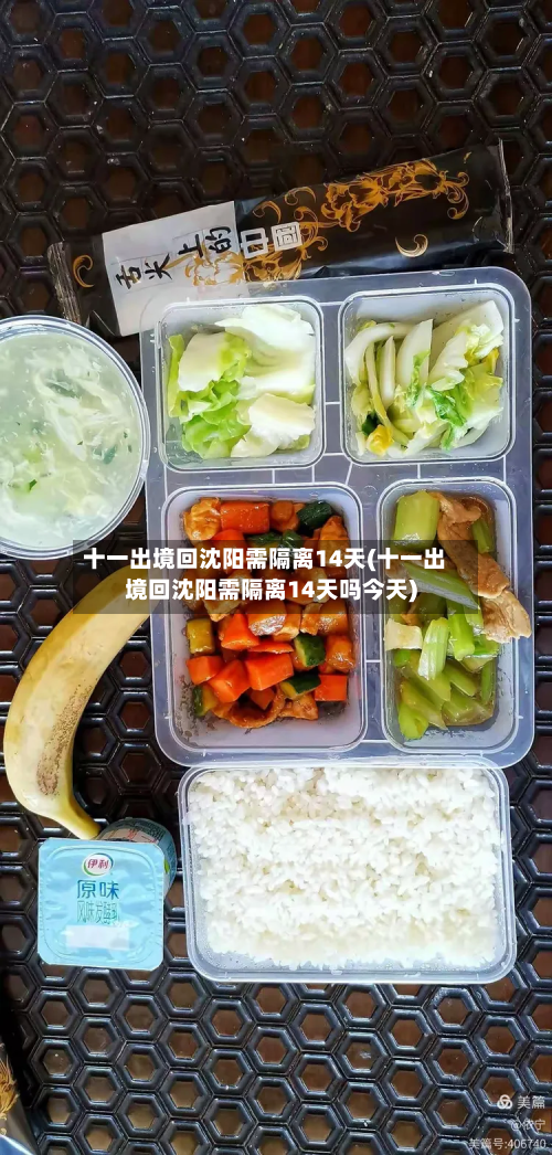 十一出境回沈阳需隔离14天(十一出境回沈阳需隔离14天吗今天)
