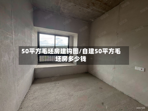 50平方毛坯房建钩图/自建50平方毛坯房多少钱-第3张图片