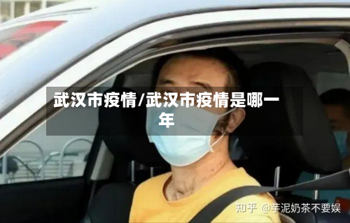 武汉市疫情/武汉市疫情是哪一年