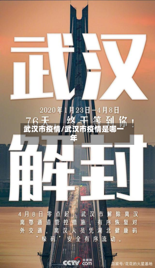 武汉市疫情/武汉市疫情是哪一年-第3张图片