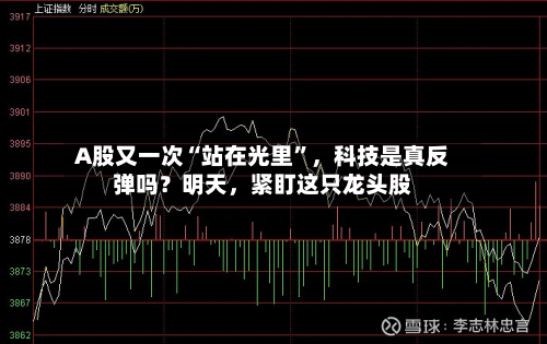 A股又一次“站在光里	”	，科技是真反弹吗？明天，紧盯这只龙头股-第2张图片