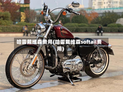 哈雷戴维森费用(哈雷戴维森softail费用)-第2张图片