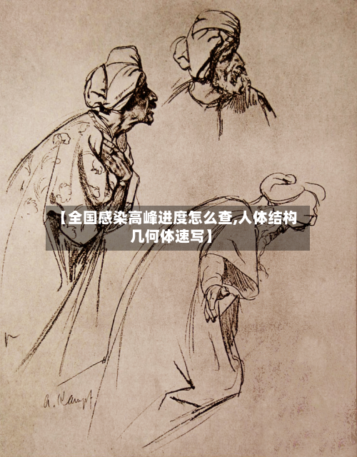 【全国感染高峰进度怎么查,人体结构几何体速写】-第2张图片