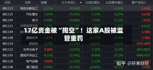 17亿资金被“掏空”！这家A股被监管重罚