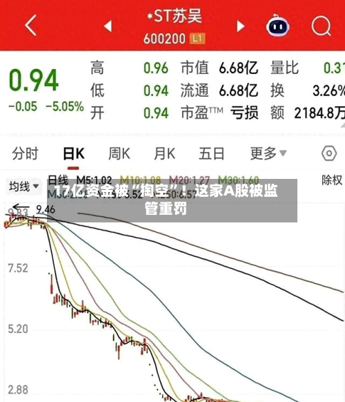 17亿资金被“掏空	”！这家A股被监管重罚-第2张图片