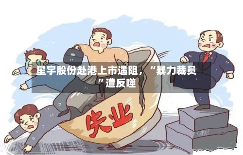 星宇股份赴港上市遇阻，“暴力裁员”遭反噬-第3张图片