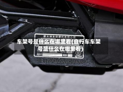 车架号是什么在哪里看(自行车车架号是什么在哪里看)-第2张图片
