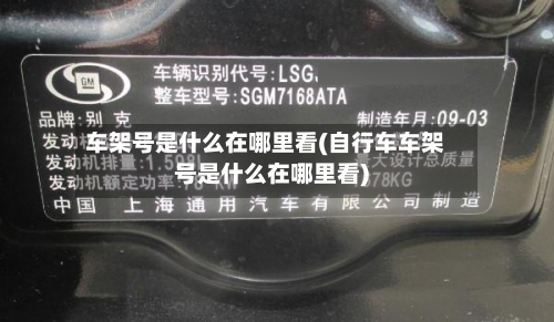 车架号是什么在哪里看(自行车车架号是什么在哪里看)