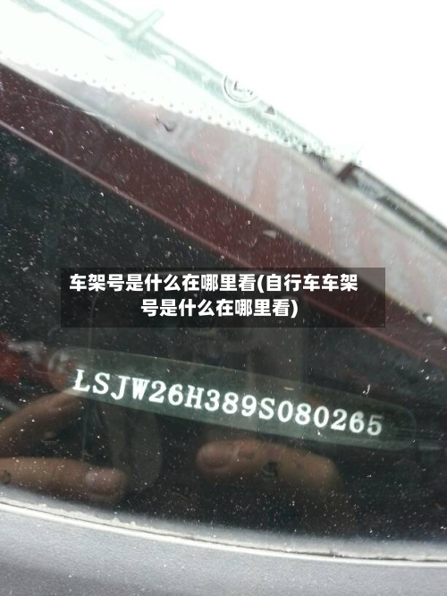车架号是什么在哪里看(自行车车架号是什么在哪里看)-第3张图片