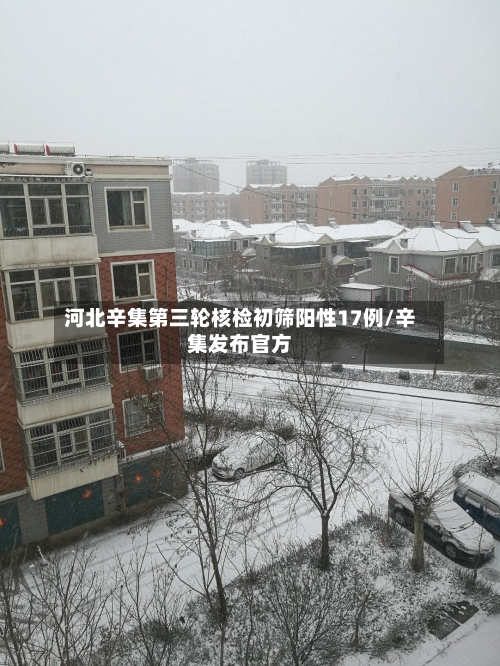 河北辛集第三轮核检初筛阳性17例/辛集发布官方