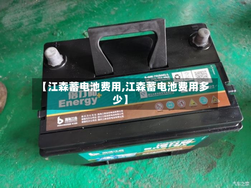 【江森蓄电池费用,江森蓄电池费用多少】-第3张图片