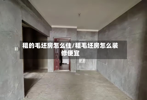 租的毛坯房怎么住/租毛坯房怎么装修便宜