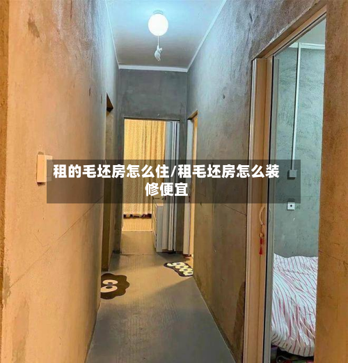 租的毛坯房怎么住/租毛坯房怎么装修便宜-第2张图片