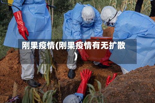 刚果疫情(刚果疫情有无扩散)-第3张图片