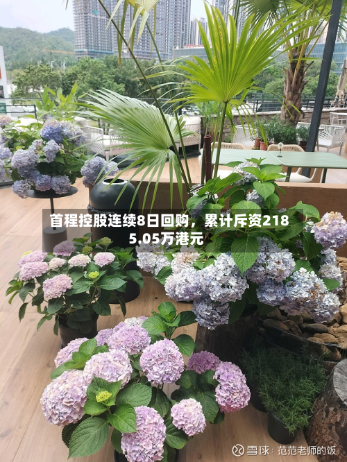 首程控股连续8日回购	，累计斥资2185.05万港元-第2张图片