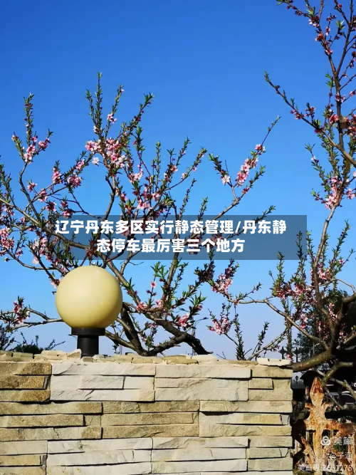 辽宁丹东多区实行静态管理/丹东静态停车最厉害三个地方-第2张图片