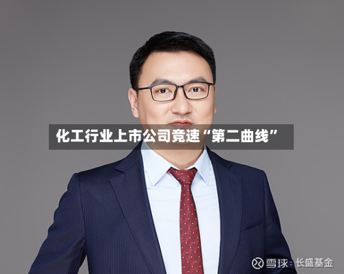 化工行业上市公司竞速“第二曲线”-第2张图片